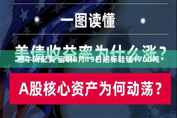 股牛网配资 宝钢8月19日招标硅锰1700吨